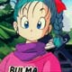 Bulma