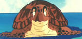 La tortue de mer